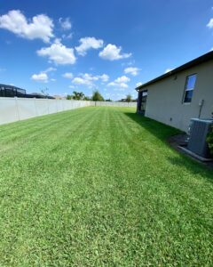 8A1EAD8A-22AE-4F49-A440-D40CF8BF783C_Original 2