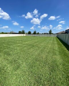 A8814854-1E49-4DF7-9BCC-31B29C880613_Original 2