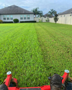 AFE640C6-08CC-4C1C-833A-B996BFFFAC54_Original